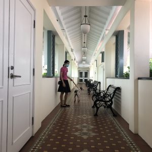 IMG-4228